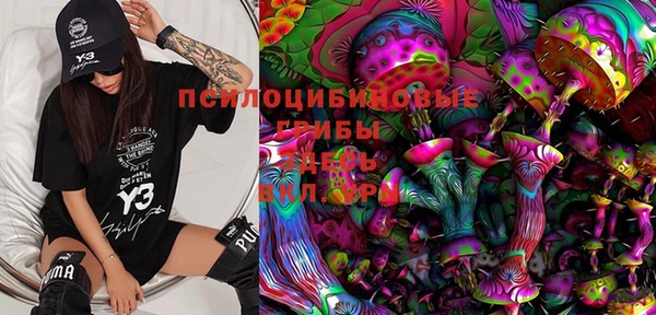 молекула духа Бугульма