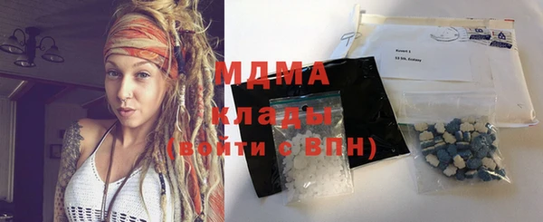spice Богородицк