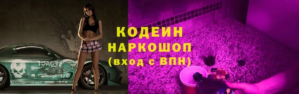 мдпв Бородино