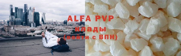 spice Богородицк
