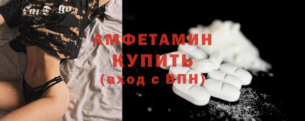 spice Богородицк