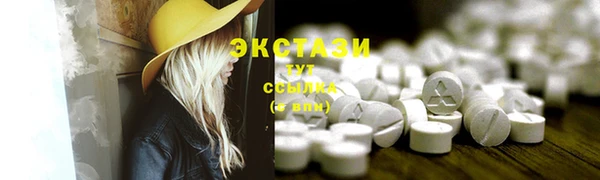 spice Богородицк