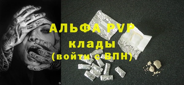 spice Богородицк