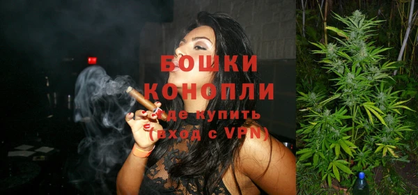 spice Богородицк