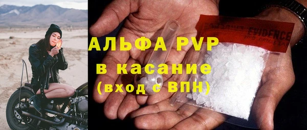 мдпв Бородино