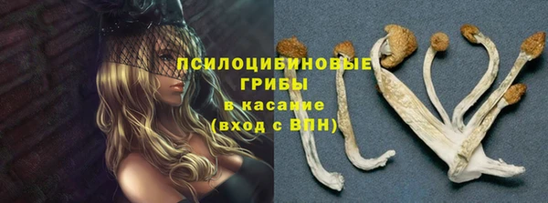мдпв Бородино