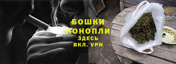 мдпв Бородино