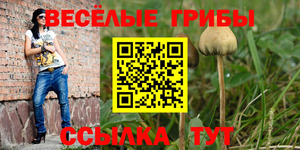 купить наркоту  Галлюциногенные грибы MAGIC MUSHROOMS  Вход с VPN  Бугульма 
